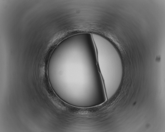 X0000095960685200801110947