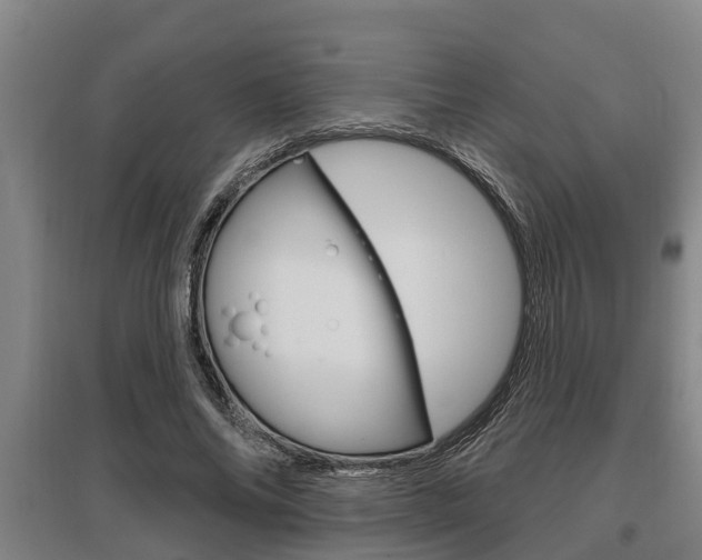 X0000095960686200801110947