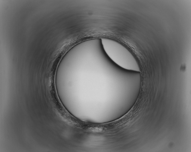 X0000095960687200801110947