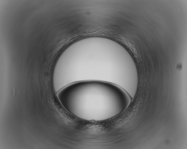 X0000095960689200801110946