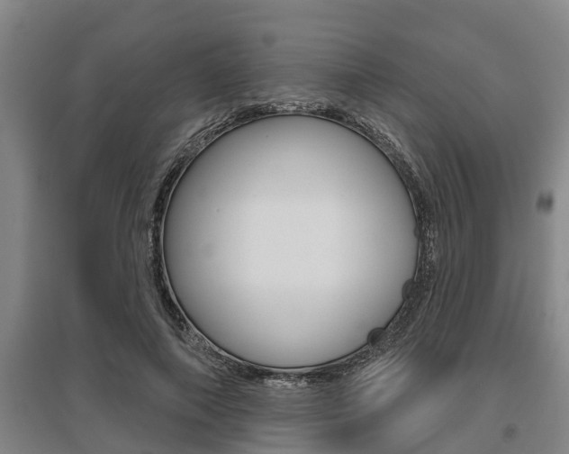 X0000095960690200801110946