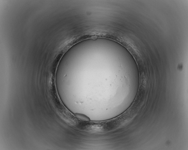 X0000095960692200801110946