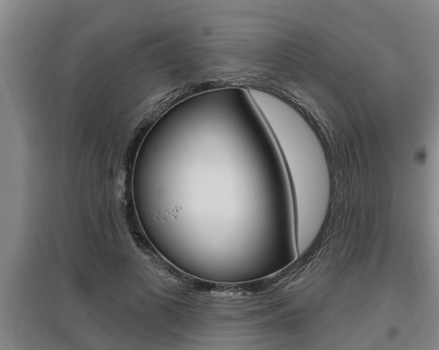 X0000095960693200801110946