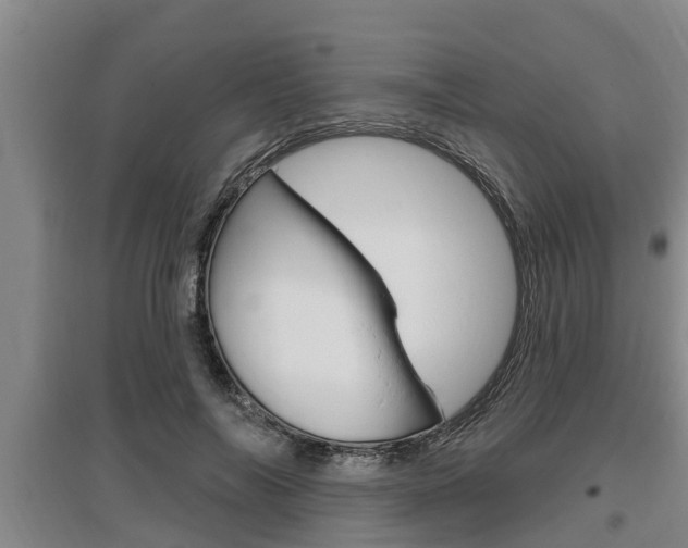 X0000095960694200801110946
