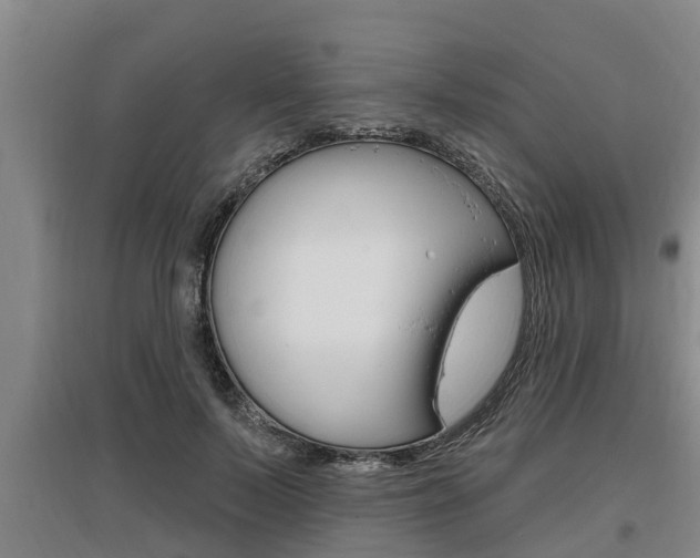 X0000095960695200801110946