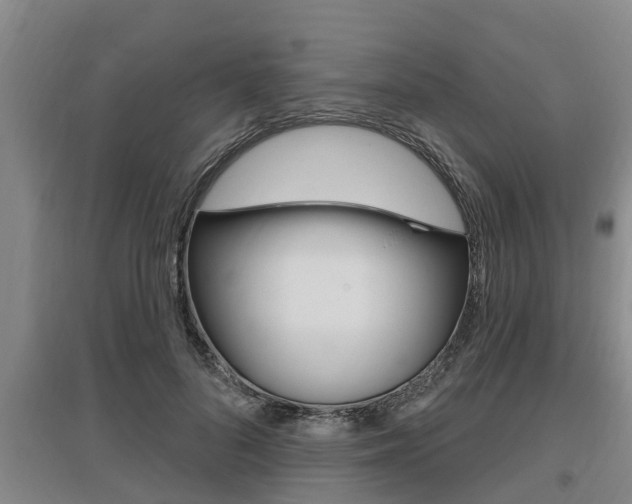 X0000095960696200801110946