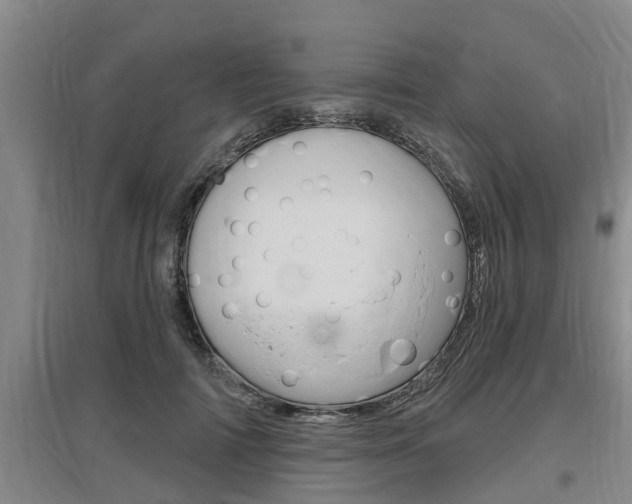 X0000095960698200801110946