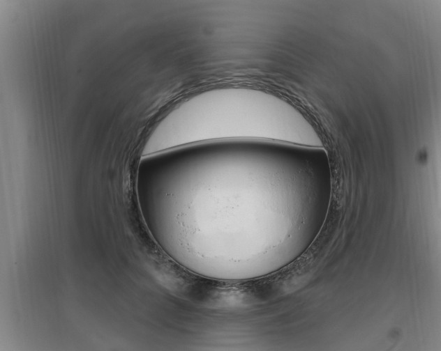 X0000095960704200801110946