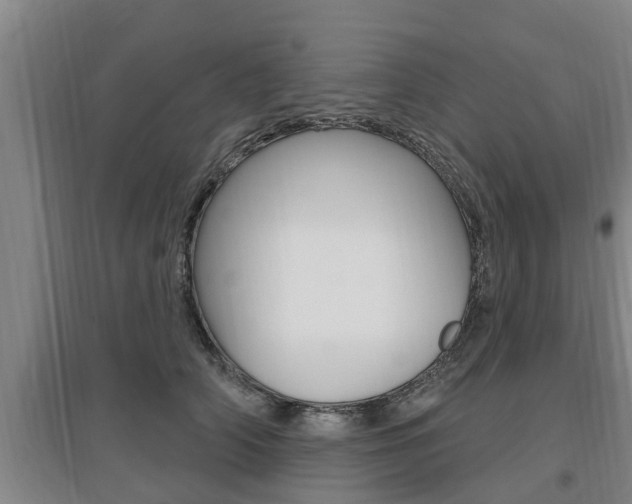 X0000095960706200801110946