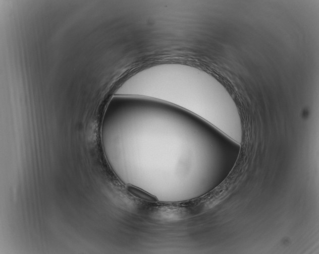X0000095960708200801110946
