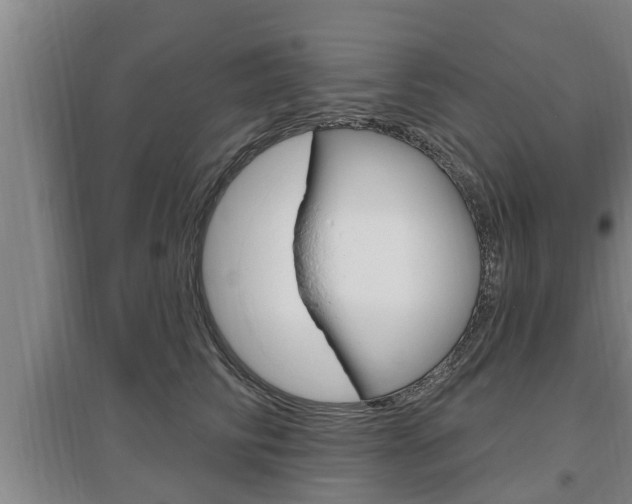 X0000095960710200801110946
