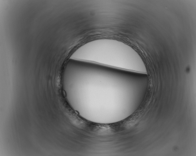 X0000095960715200801110946