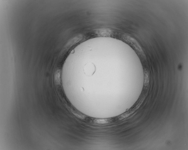 X0000095960717200801110946