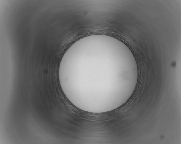 X0000095960720200801110946