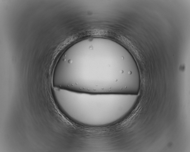 X0000095960721200801110945
