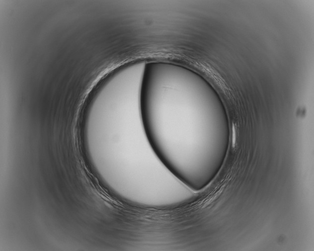 X0000095960723200801110945