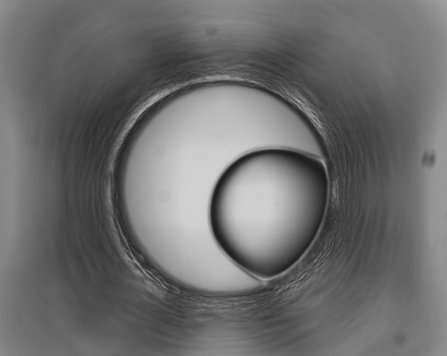 X0000095960724200801110945