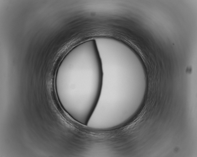 X0000095960725200801110945