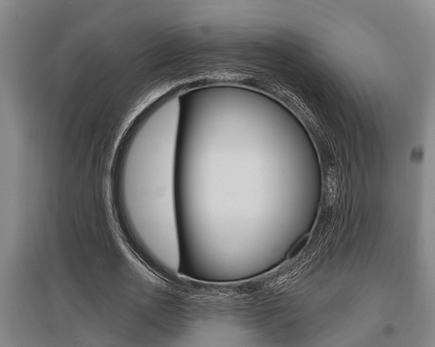 X0000095960726200801110945