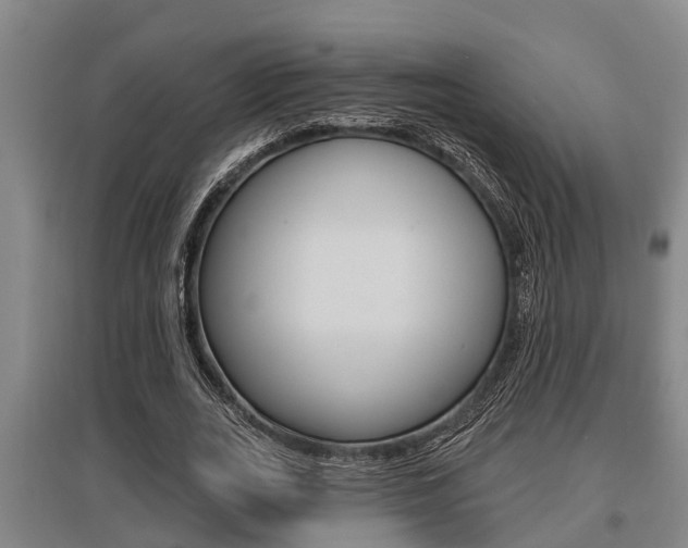 X0000095960727200801110945