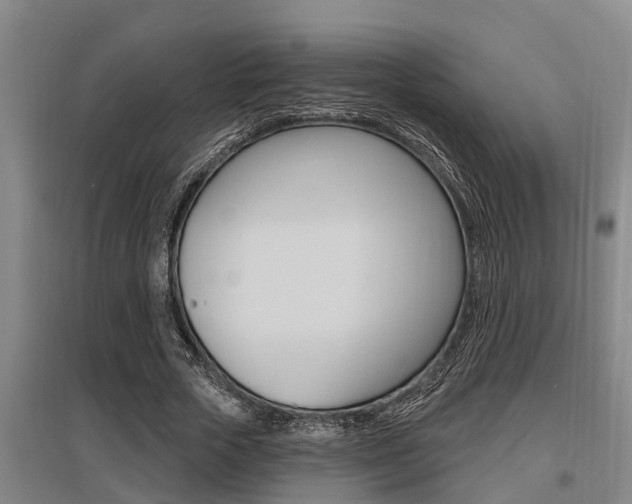 X0000095960729200801110946