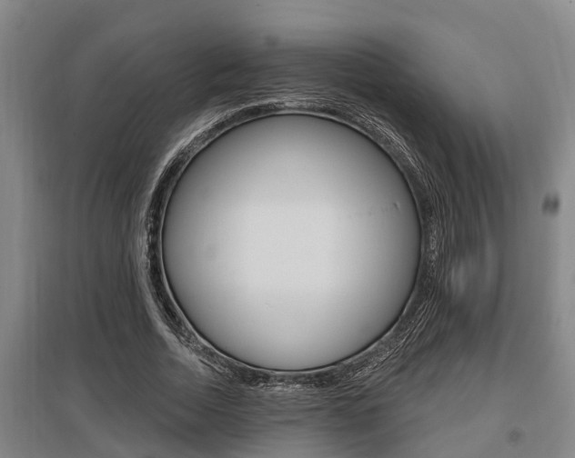 X0000095960730200801110946