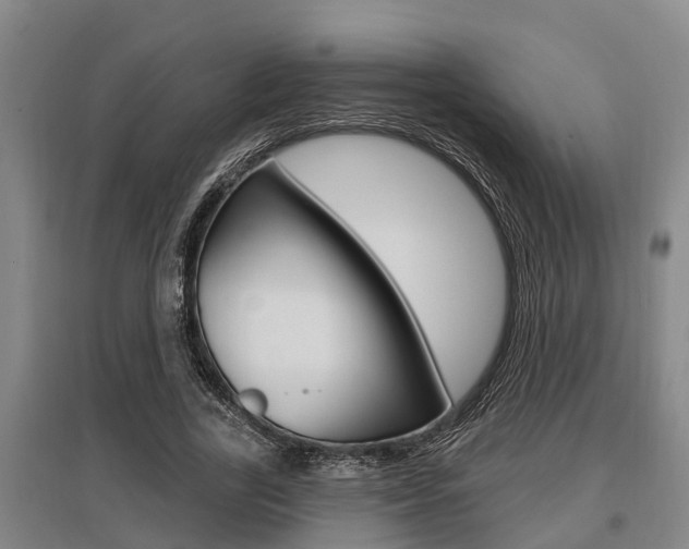 X0000095960731200801110946