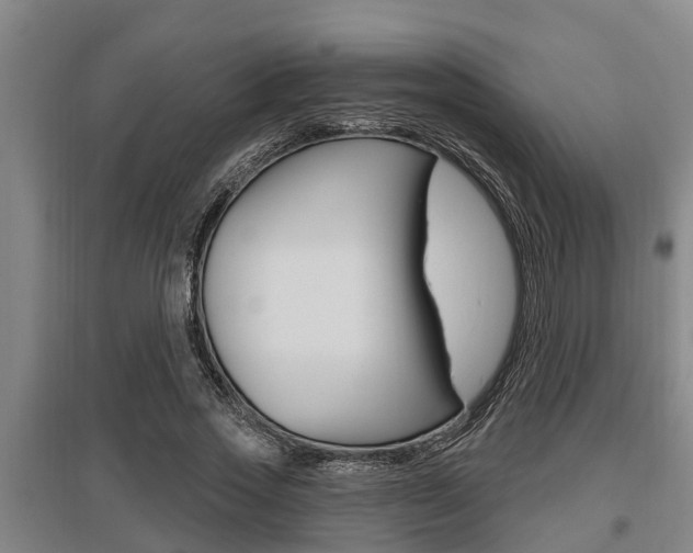 X0000095960733200801110946