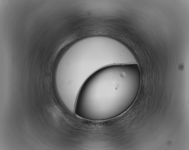 X0000095960735200801110946