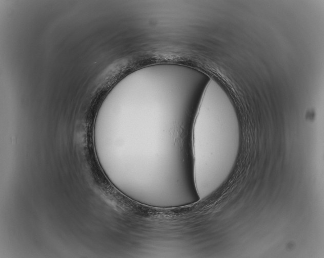 X0000095960738200801110946