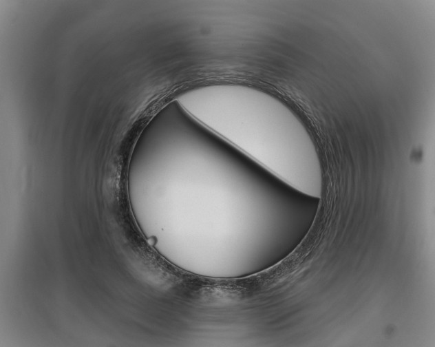 X0000095960739200801110946
