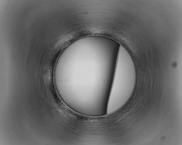 X0000095960740200801110946