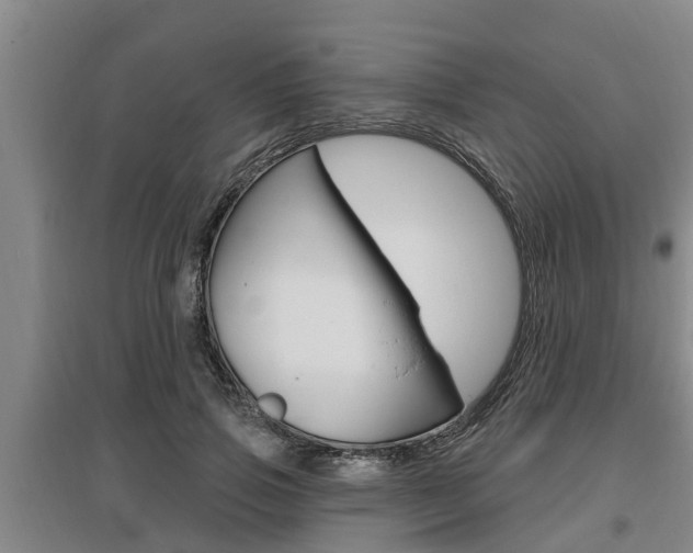 X0000095960741200801110946