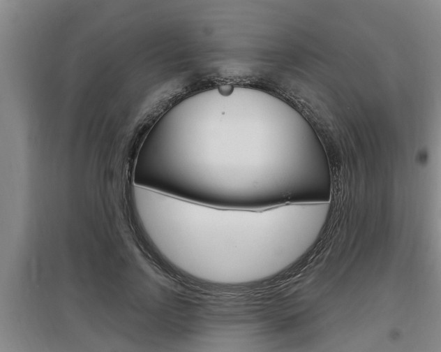 X0000095960742200801110946