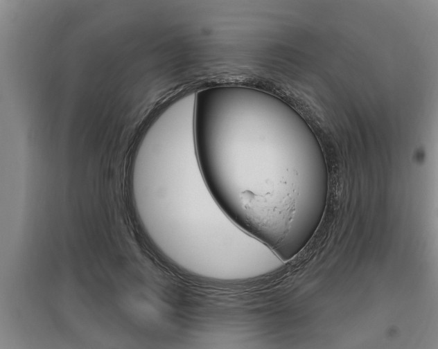 X0000095960743200801110946