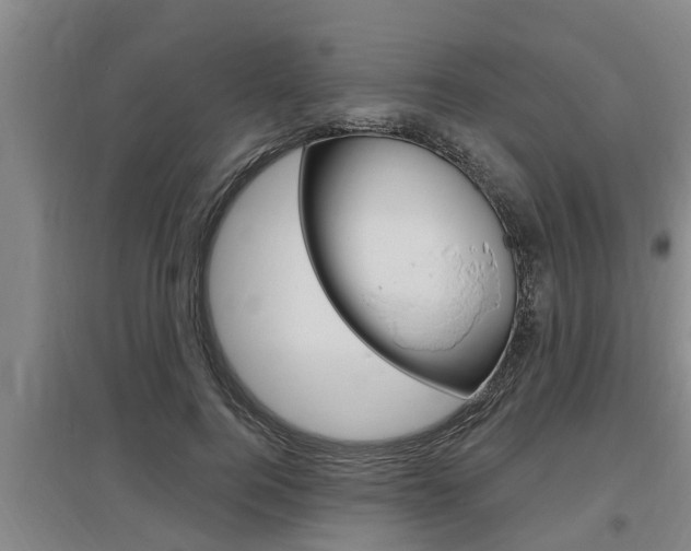 X0000095960744200801110946