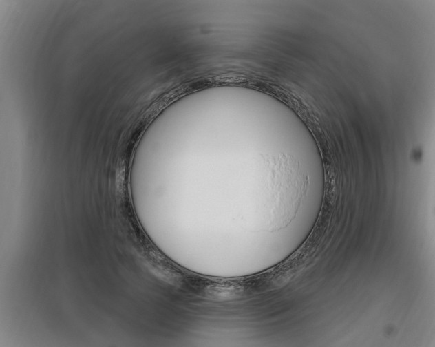 X0000095960745200801110946