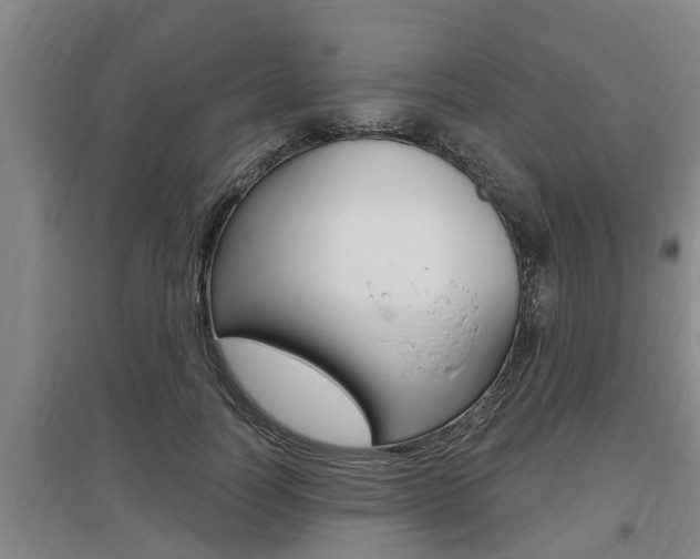 X0000095960746200801110946