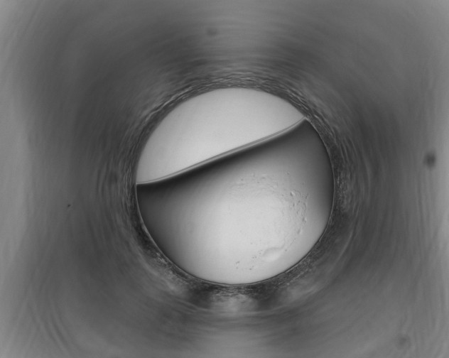 X0000095960747200801110946