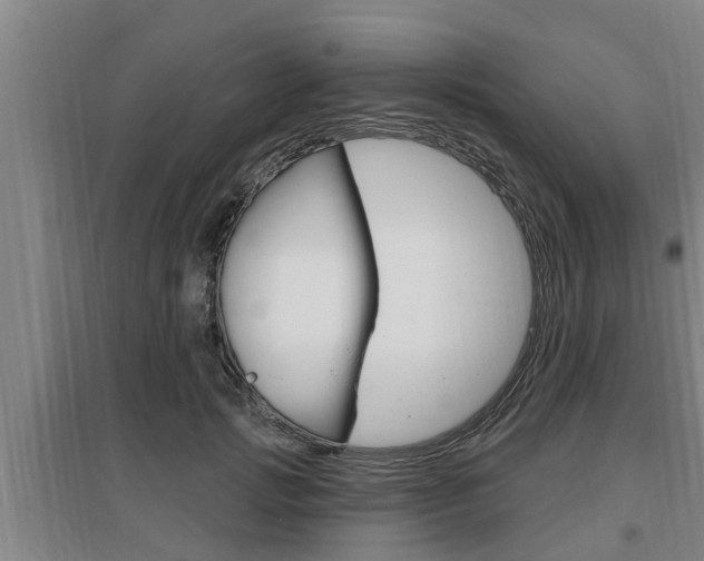 X0000095960749200801110946