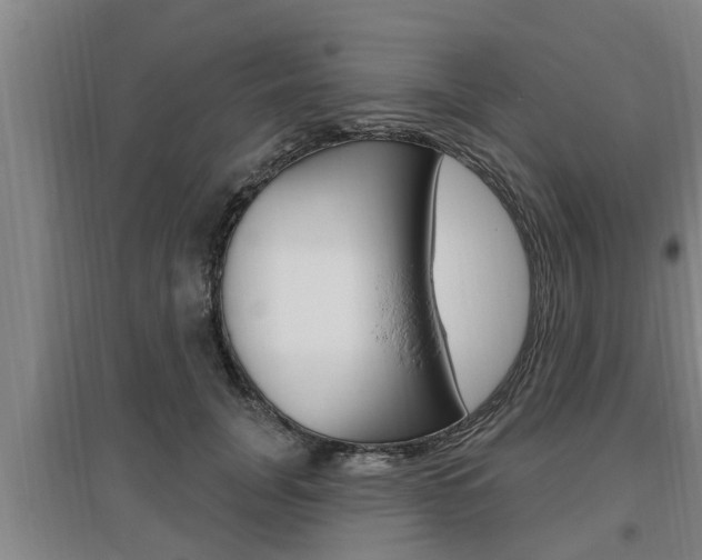 X0000095960751200801110946