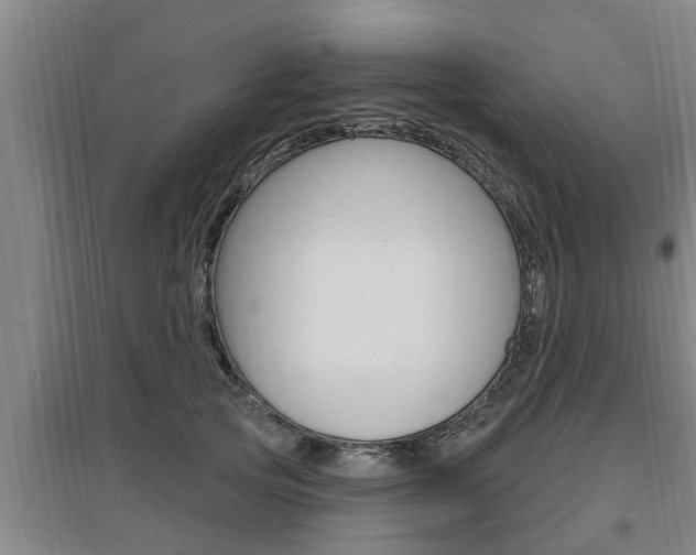 X0000095960753200801110946