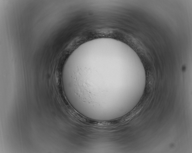 X0000095960758200801110946