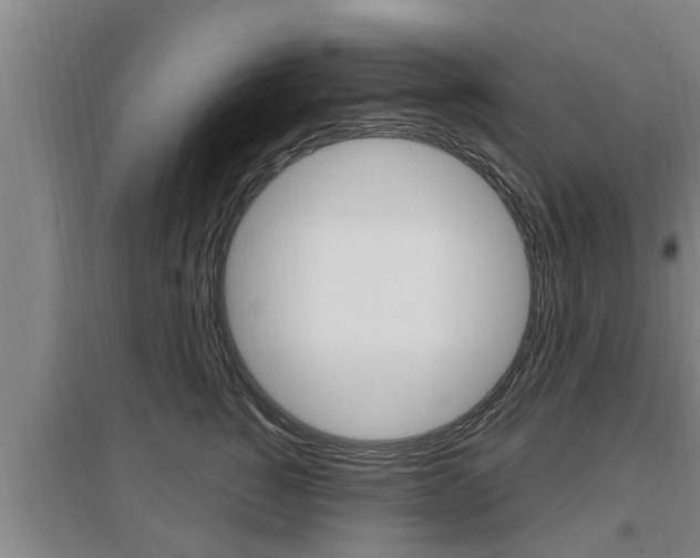 X0000095960760200801110946