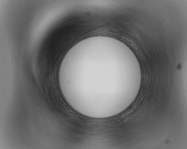 X0000095960762200801110946