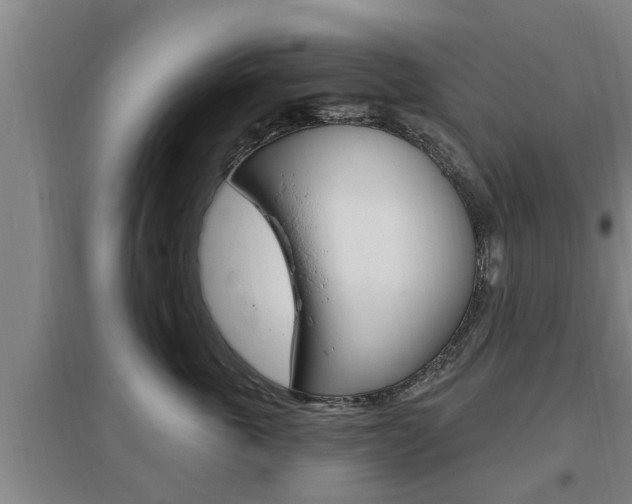X0000095960763200801110946