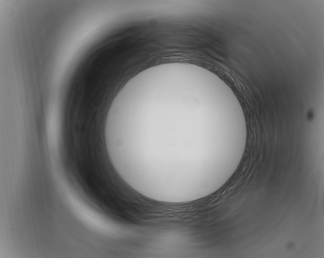 X0000095960764200801110946