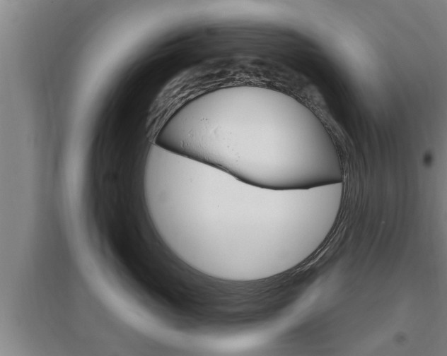 X0000095960765200801110946