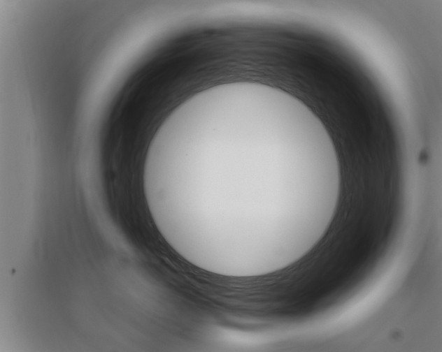 X0000095960766200801110946