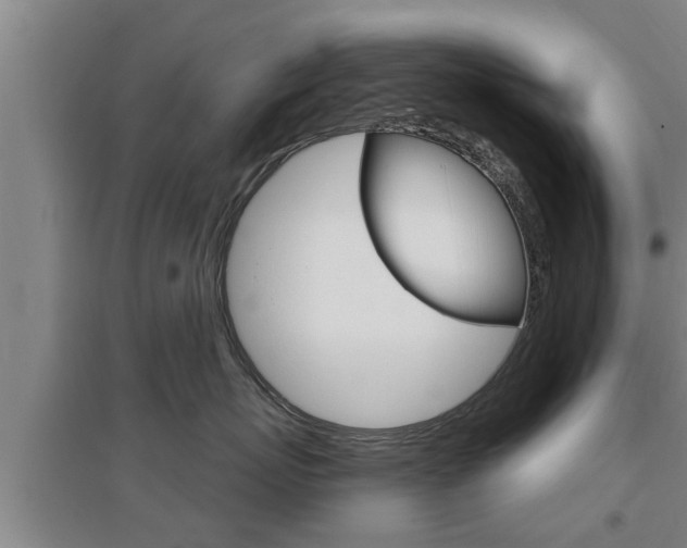 X0000095960767200801110946